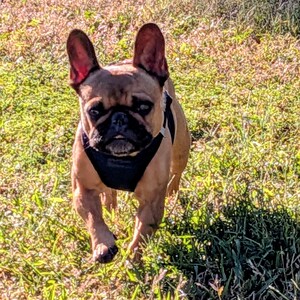 Fundraising Page: Mary Harper PhD